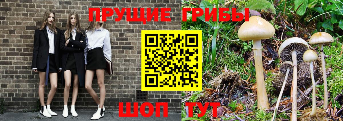 Санкт-Петербург  Галлюциногенные грибы мицелий  Вход с VPN 